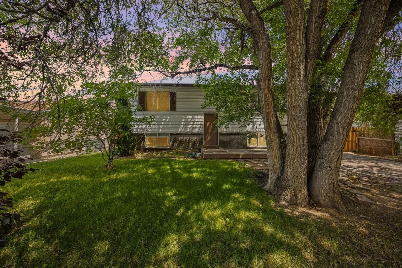 1551 Chadwick Dr - Photo 4 of 27