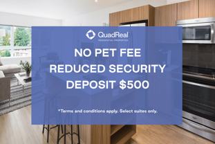 Northwoods Village - Photo 1 of 1