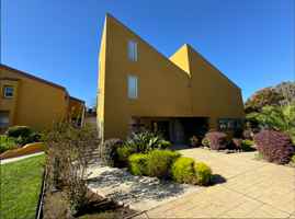 featured image of 509 Poplar Ave