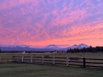 68590 Cloverdale Rd - Photo 1 of 1