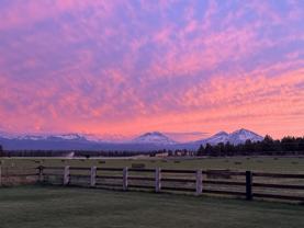 68590 Cloverdale Rd - Photo 1 of 1