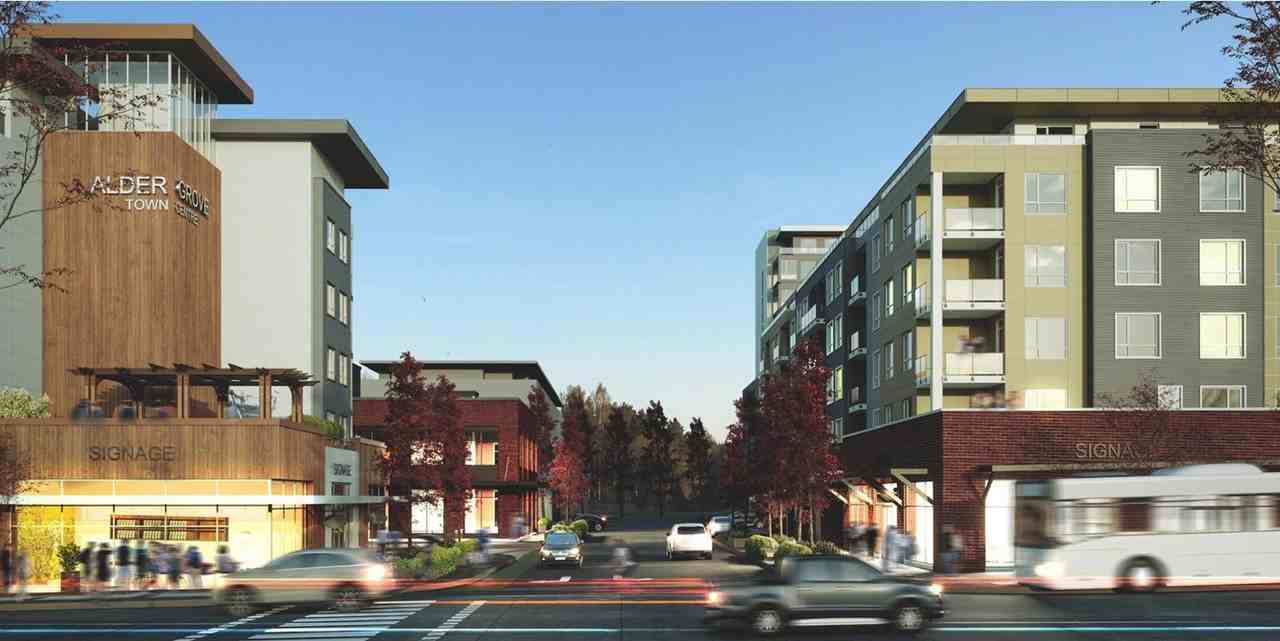 27218 Aldergrove Town Centre Dr #608 - Photo 2 of 34