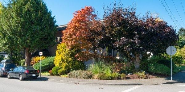 1285 Martin St #1 - Photo 2 of 11