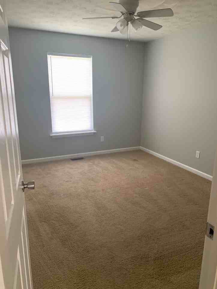 Pine Street - Photo 5 of 11