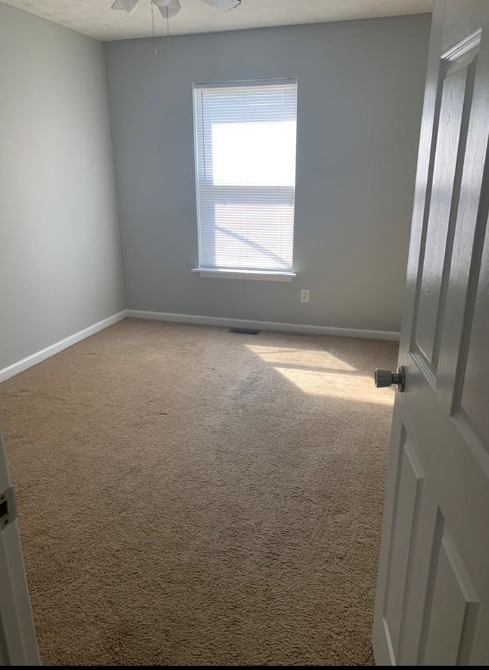 Pine Street - Photo 6 of 11