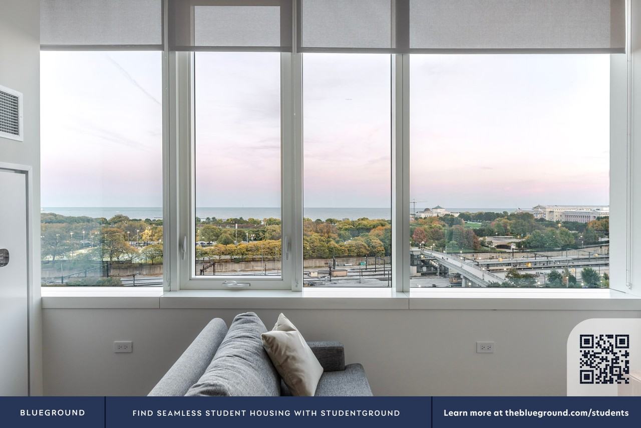 1000 South Michigan Avenue - Photo 7 of 38