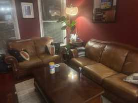 2906 S Wells St #1F - Photo 1 of 1