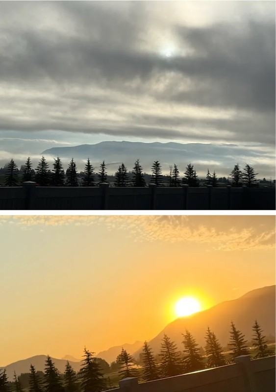 3431 Goldenrod Ln - Photo 2 of 11