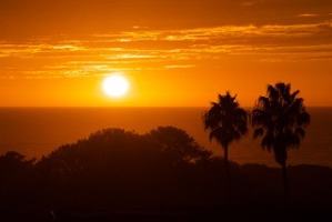 featured image of 632 E Solana Cir