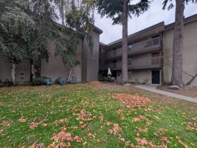 2550 Thorndyke Ave W #305 - Photo 1 of 1