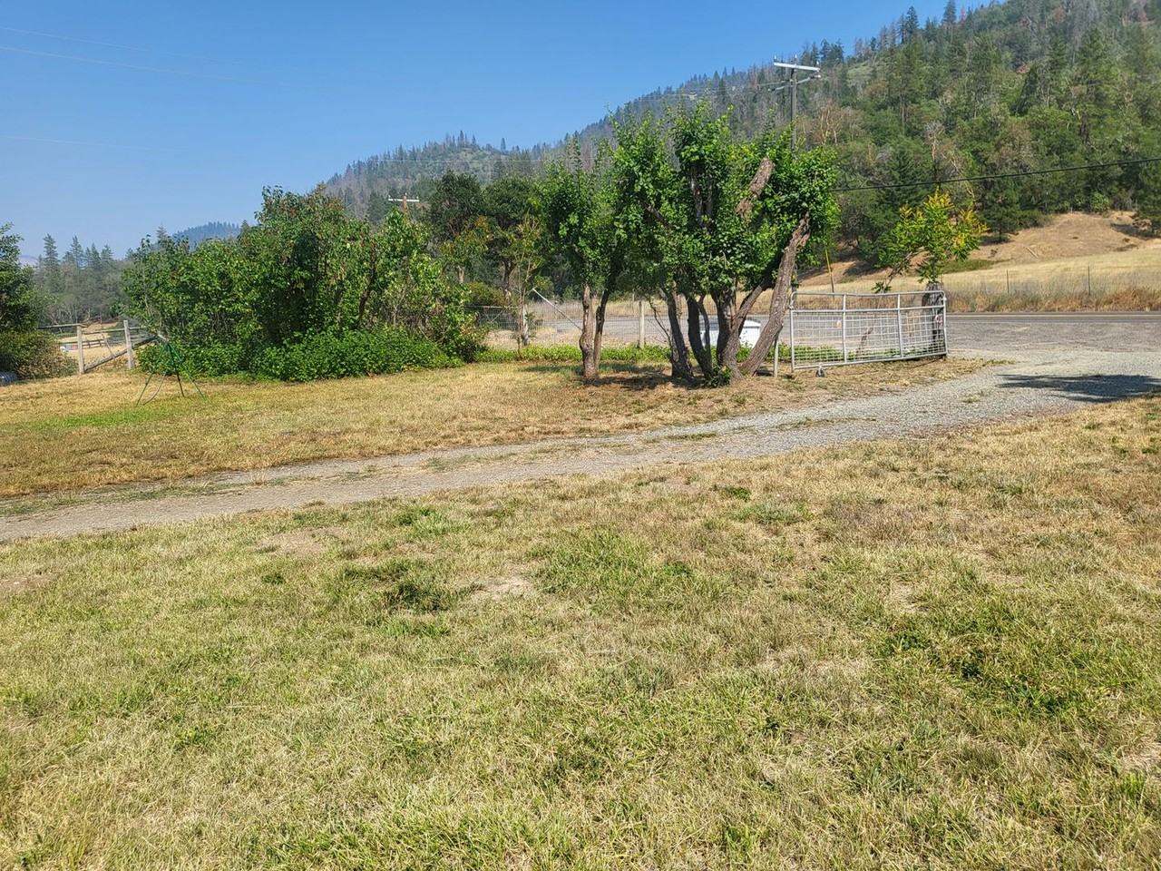 2444 Thompson Creek Rd - Photo 2 of 29