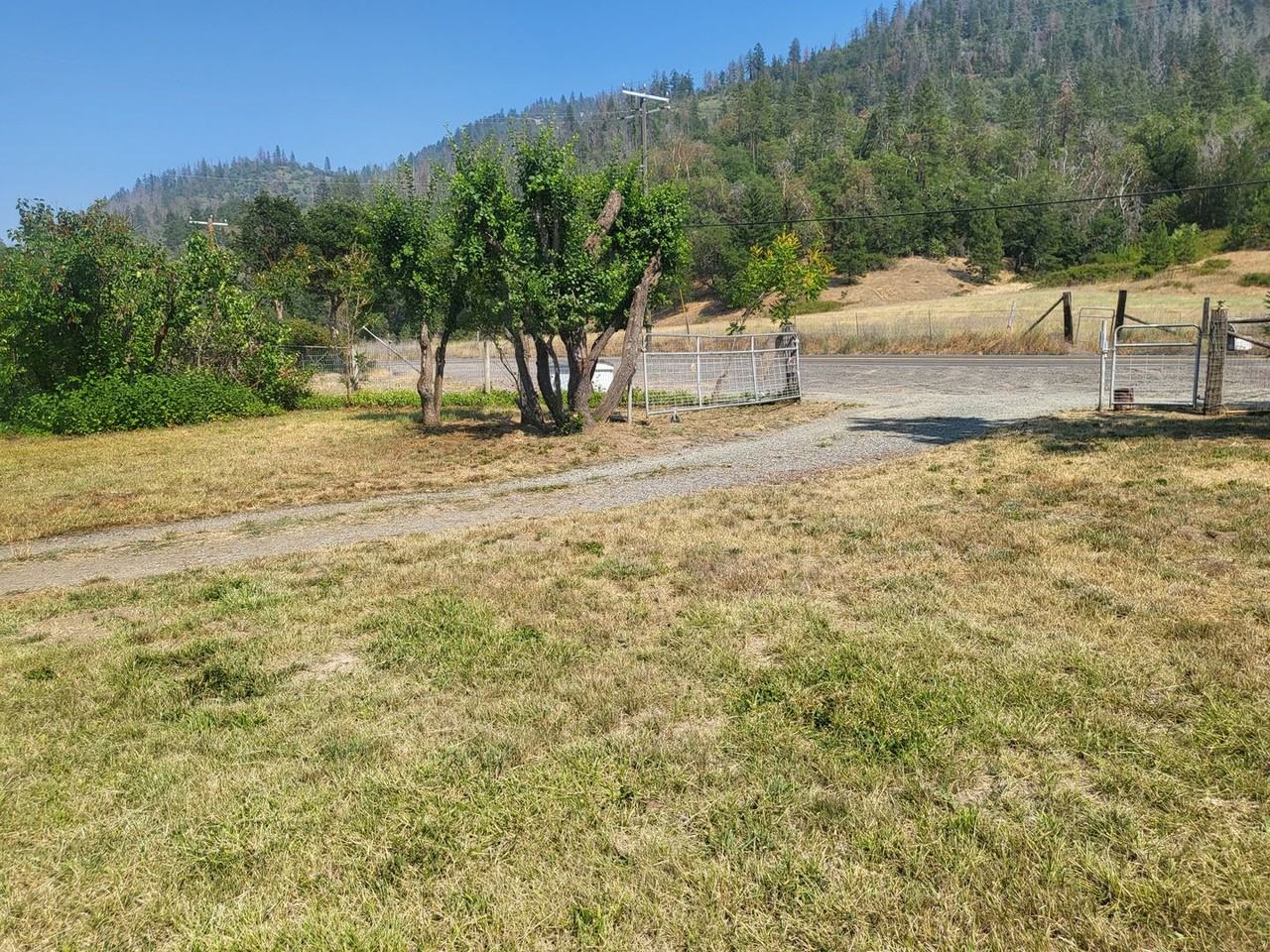 2444 Thompson Creek Rd - Photo 3 of 29