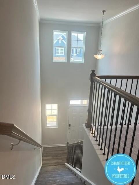 5549 Mill Dam Road - Photo 7 of 16