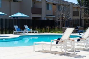 Madison Newport Apartment Homes - Photo 1 of 1