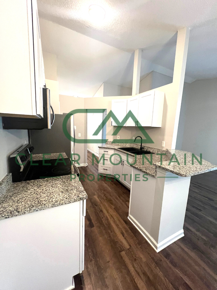 6 Swamp Fire Ct - Photo 7 of 25