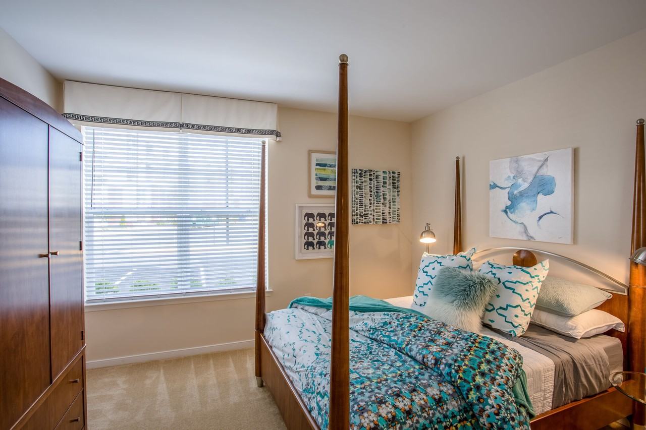 Aquia - Photo 6 of 10