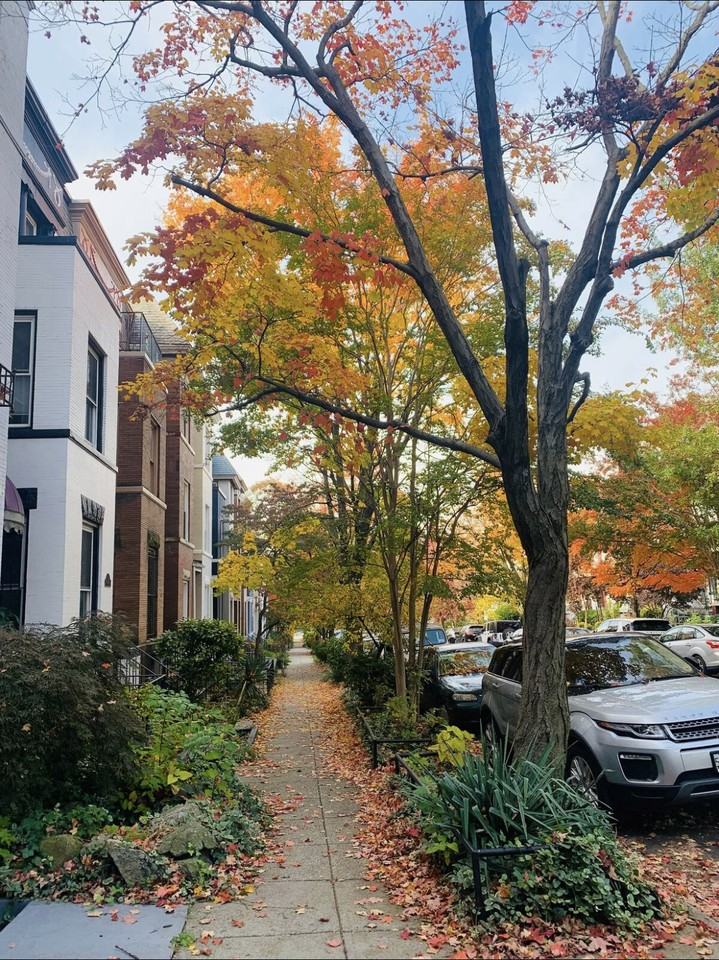 125 Thomas St Nw #A - Photo 3 of 12