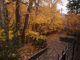 featured image of 624 E Pine St #A5