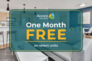 The Orion - Photo 1 of 1