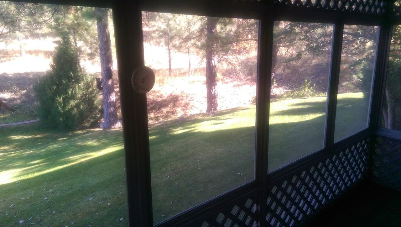 1013 Saddle Dr - Photo 5 of 24