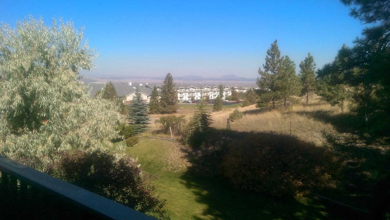 1013 Saddle Dr - Photo 6 of 24