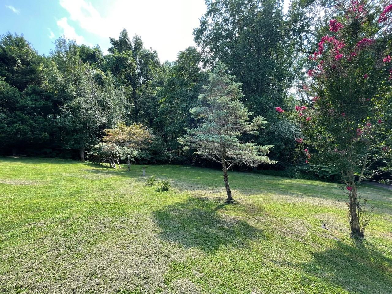 26 Cannon Bluff Drive - Photo 4 of 28