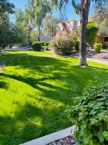 Desert Springs Apartments - Photo 1 of 1