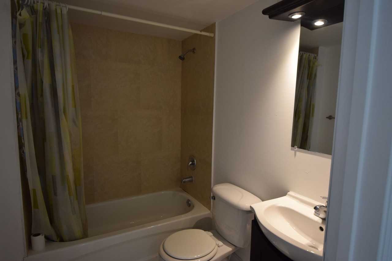 4147 Live Oak - Photo 5 of 50