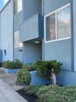 featured image of 2024 Vine St Apt 2a