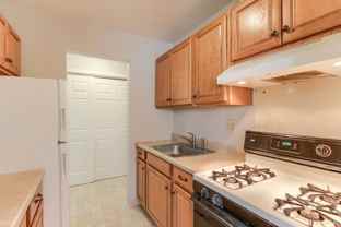 Fishburn Road - Photo 1 of 1