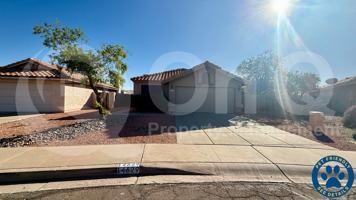 featured image of 14629 S 43rd Pl