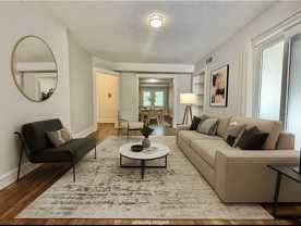 Shelby - Photo 1 of 1