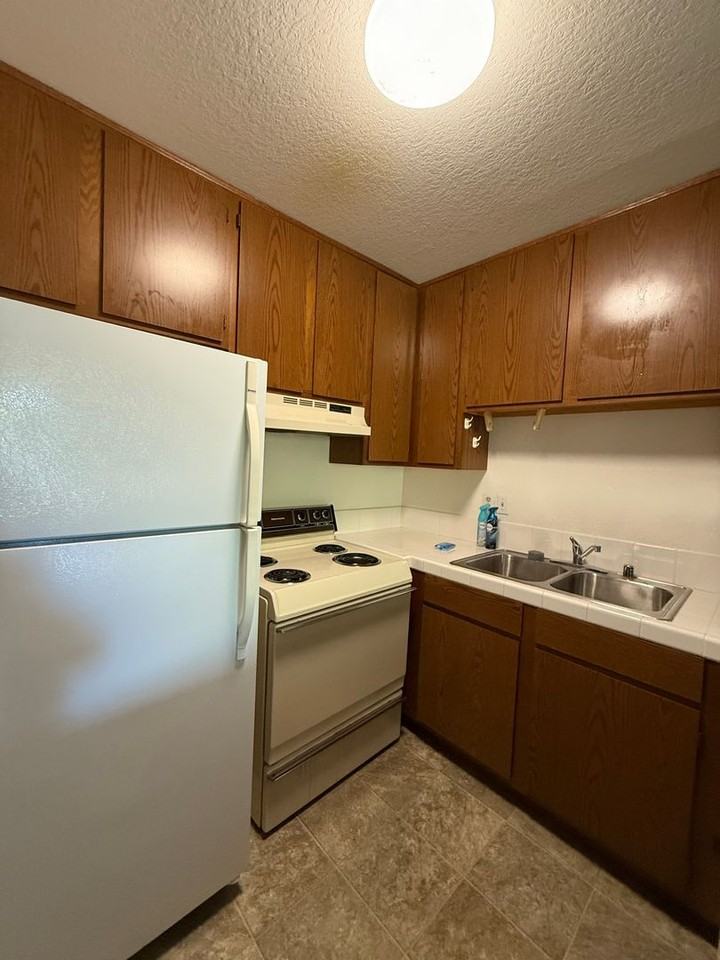 206 Vista Prieta Ct - Photo 3 of 25