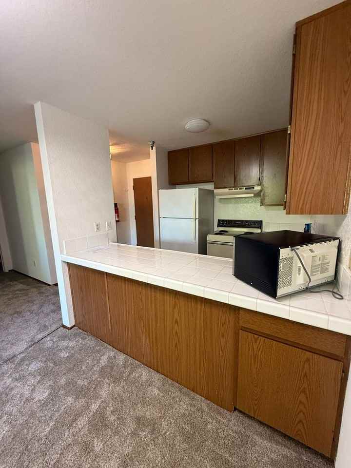 206 Vista Prieta Ct - Photo 4 of 25
