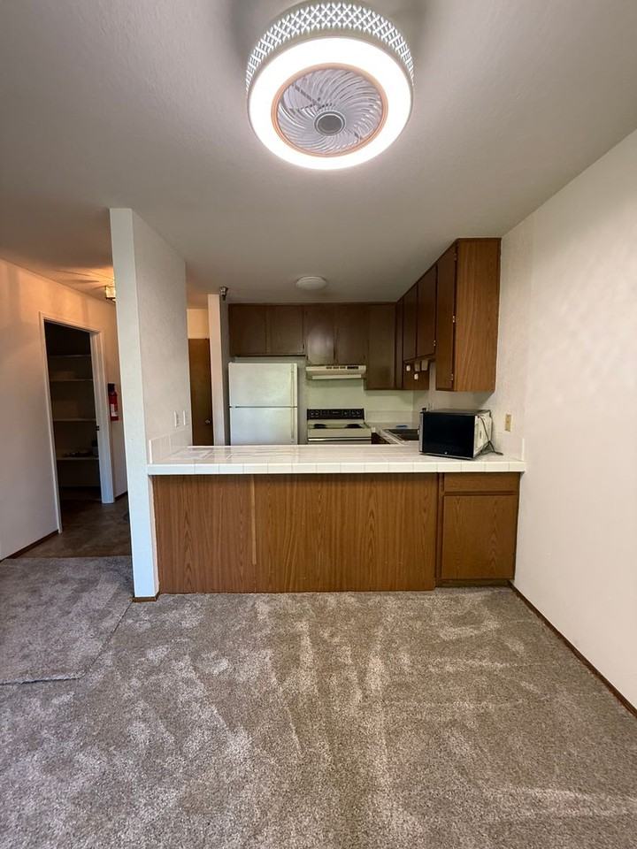 206 Vista Prieta Ct - Photo 5 of 25