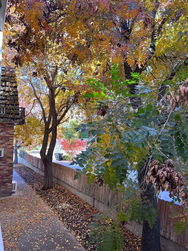 Jean Larie - Photo 2 of 13