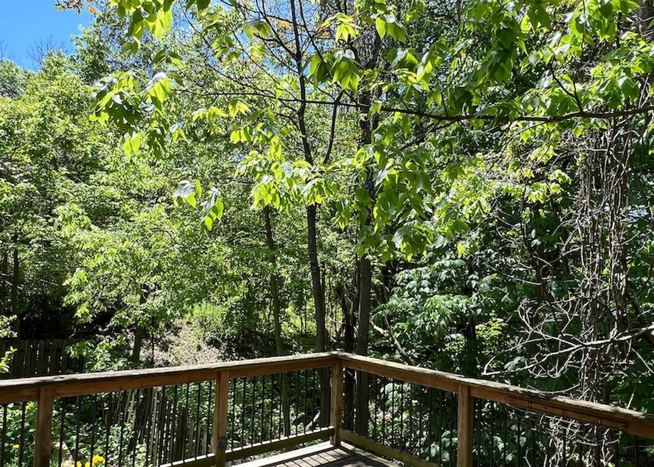 3263 Bishop St - Photo 2 of 14