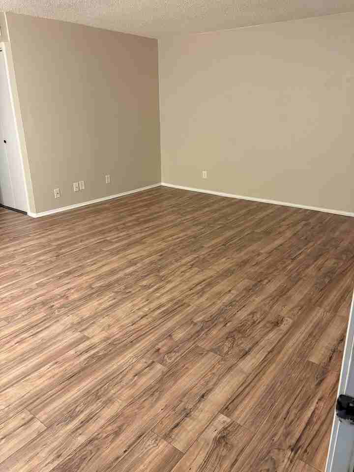 Westminster Gardens - Photo 3 of 50