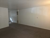 EL774-ThreeSamsPartners - Photo 1 of 1