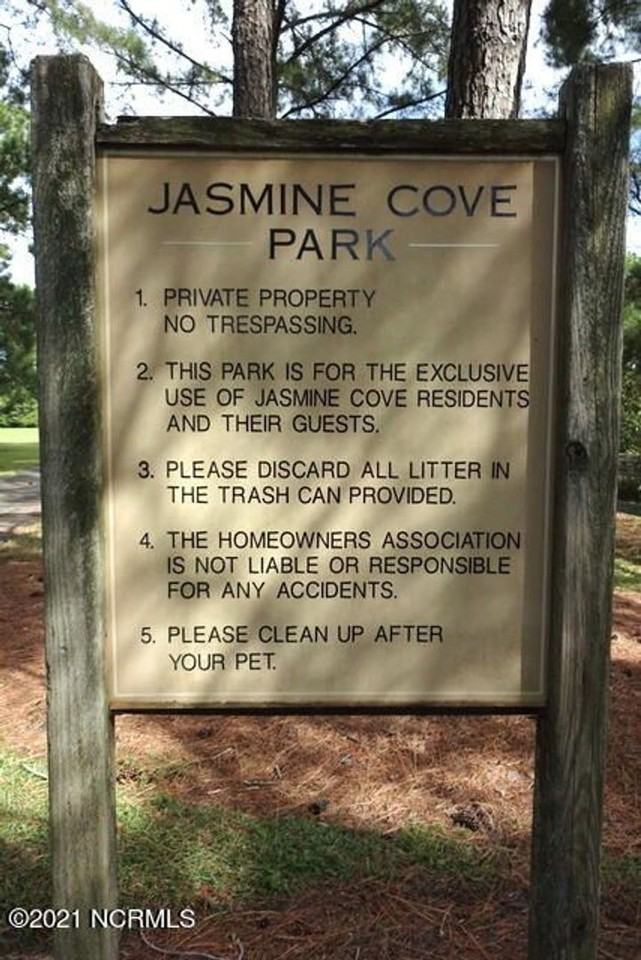 4306 Jasmine Cove Way - Photo 6 of 17