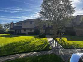 Middlecoff 5180 (Alexander) - Photo 1 of 1