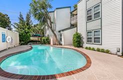 Lemon Tree - Photo 1 of 1