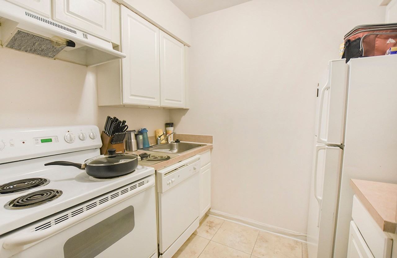 Lemon Tree - Photo 2 of 7