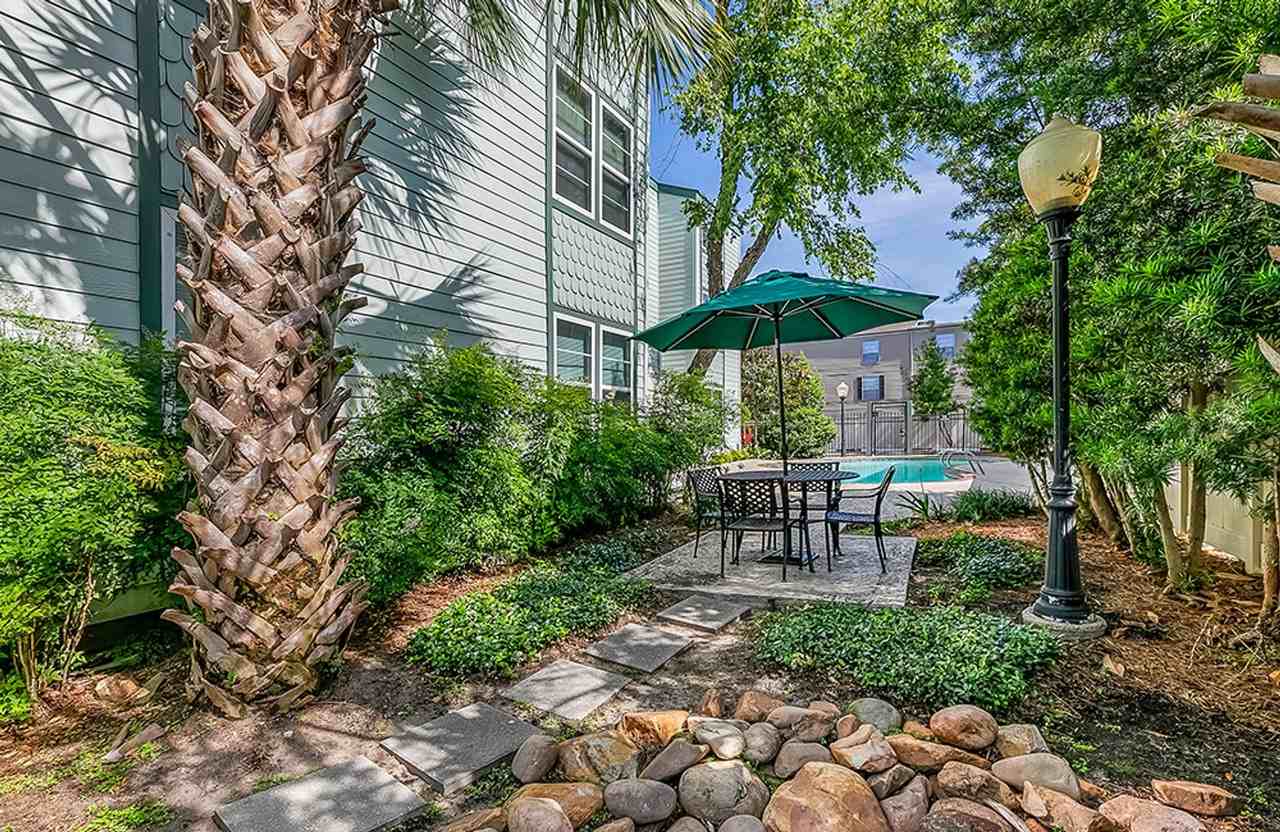 Lemon Tree - Photo 5 of 7