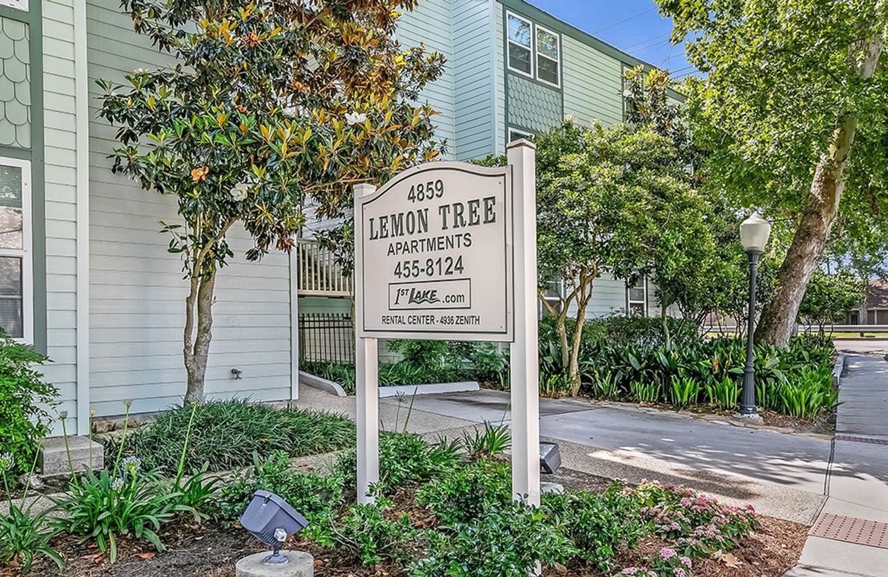 Lemon Tree - Photo 6 of 7