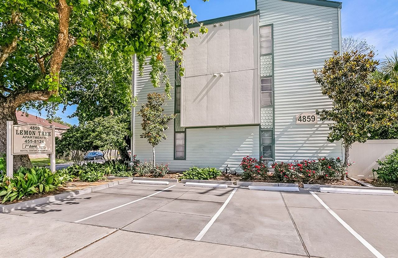 Lemon Tree - Photo 7 of 7