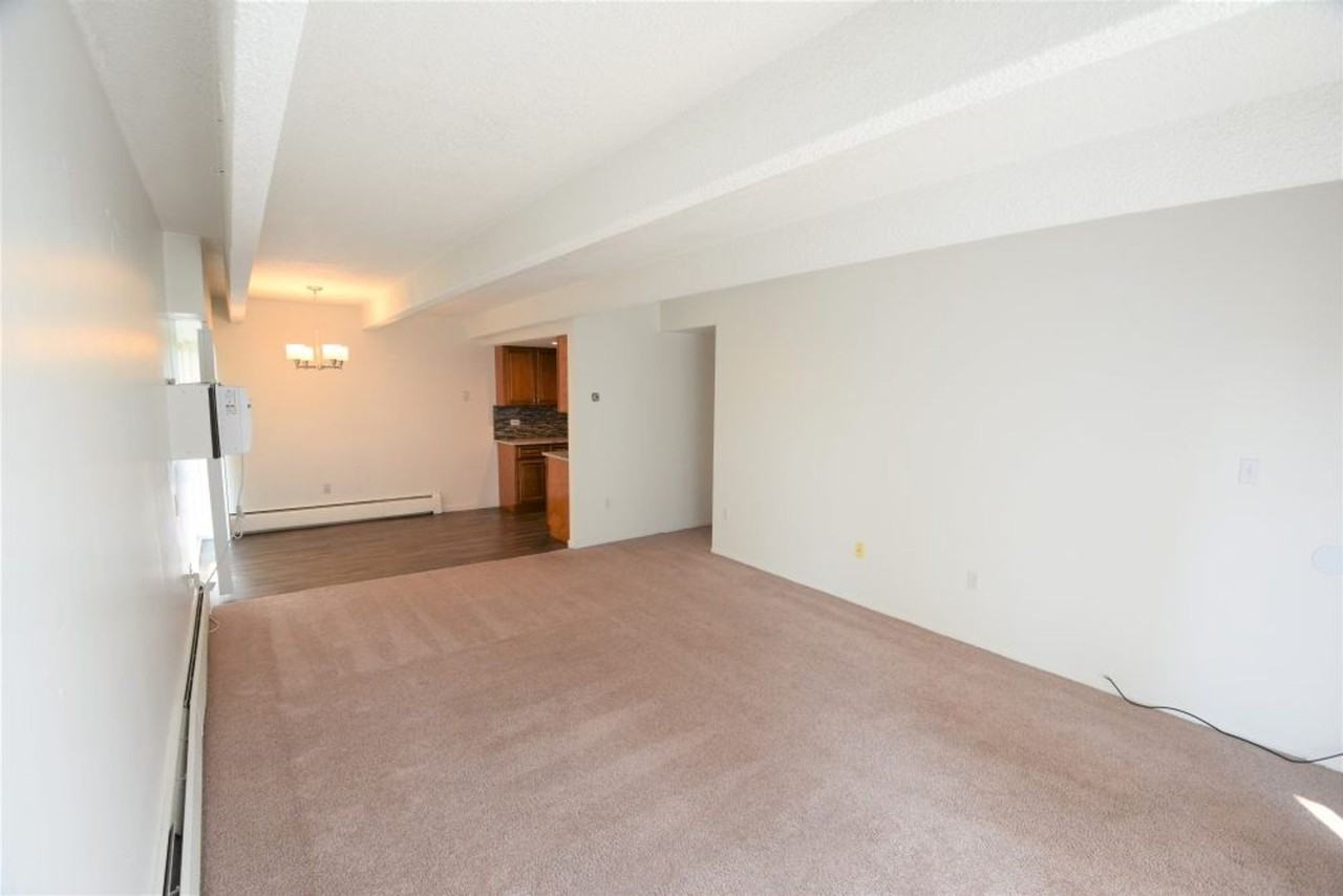 4440 Laguna Pl - Photo 2 of 26