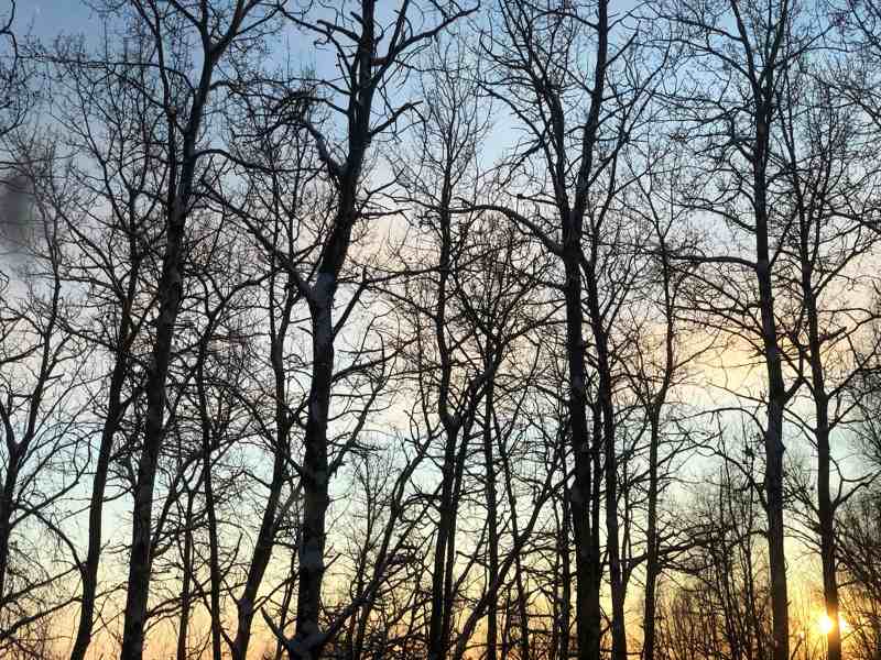 264 Hawk Road #2 - Photo 3 of 24