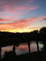 featured image of 785 Rabbit Rd