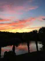 785 Rabbit Rd - Photo 1 of 1